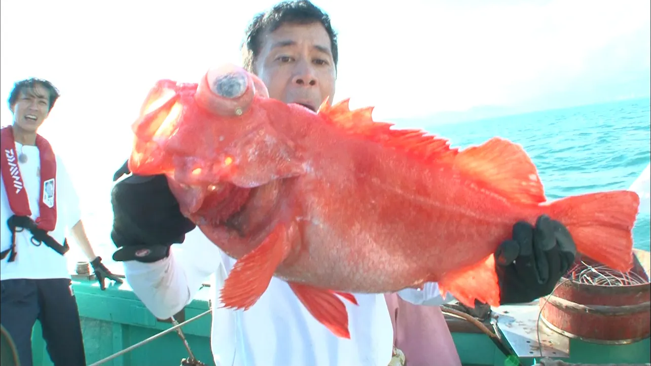 「ザ！鉄腕！DASH!!」ブロックの「日本列島ごちそうSP 番組対抗DASHグランプリ」には、  ナインティナインが参戦して貴重な激ウマ深海魚を捕獲する