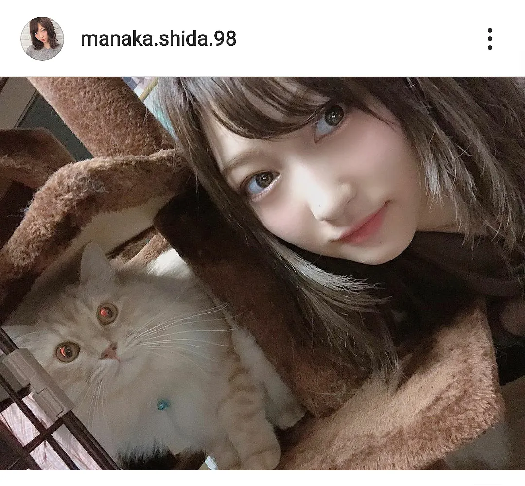 猫と志田愛佳