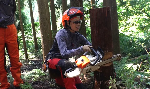 画像 プロダンサーになる夢を諦め 林業 に従事する中島彩に密着 彼女はなぜ 林業 に 3 5 Webザテレビジョン