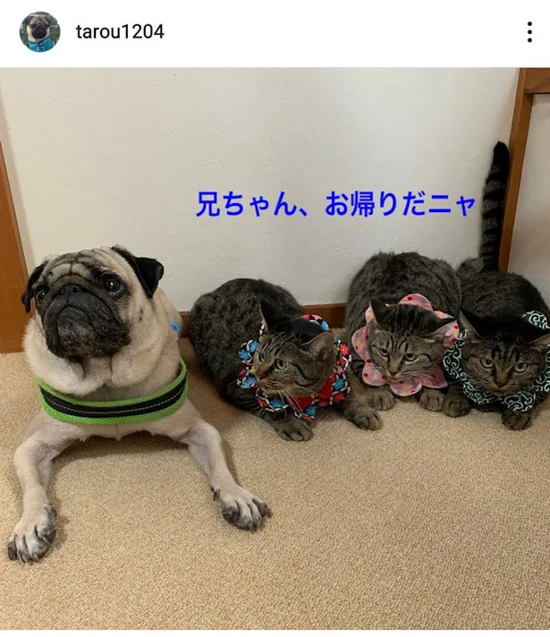 ※画像は田中太郎くんのInstagram(tarou1204)のスクリーンショット