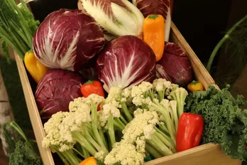 フォトジェニックな野菜に注目し、一流シェフが家庭向け料理を提案する「食べよう!イタリア野菜」放送中