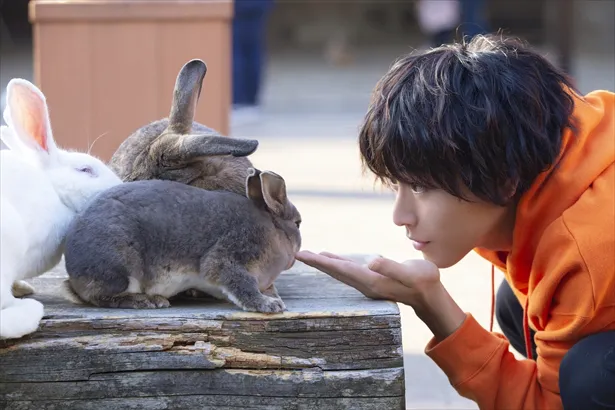 ウサギと戯れるいやしSHOTも！