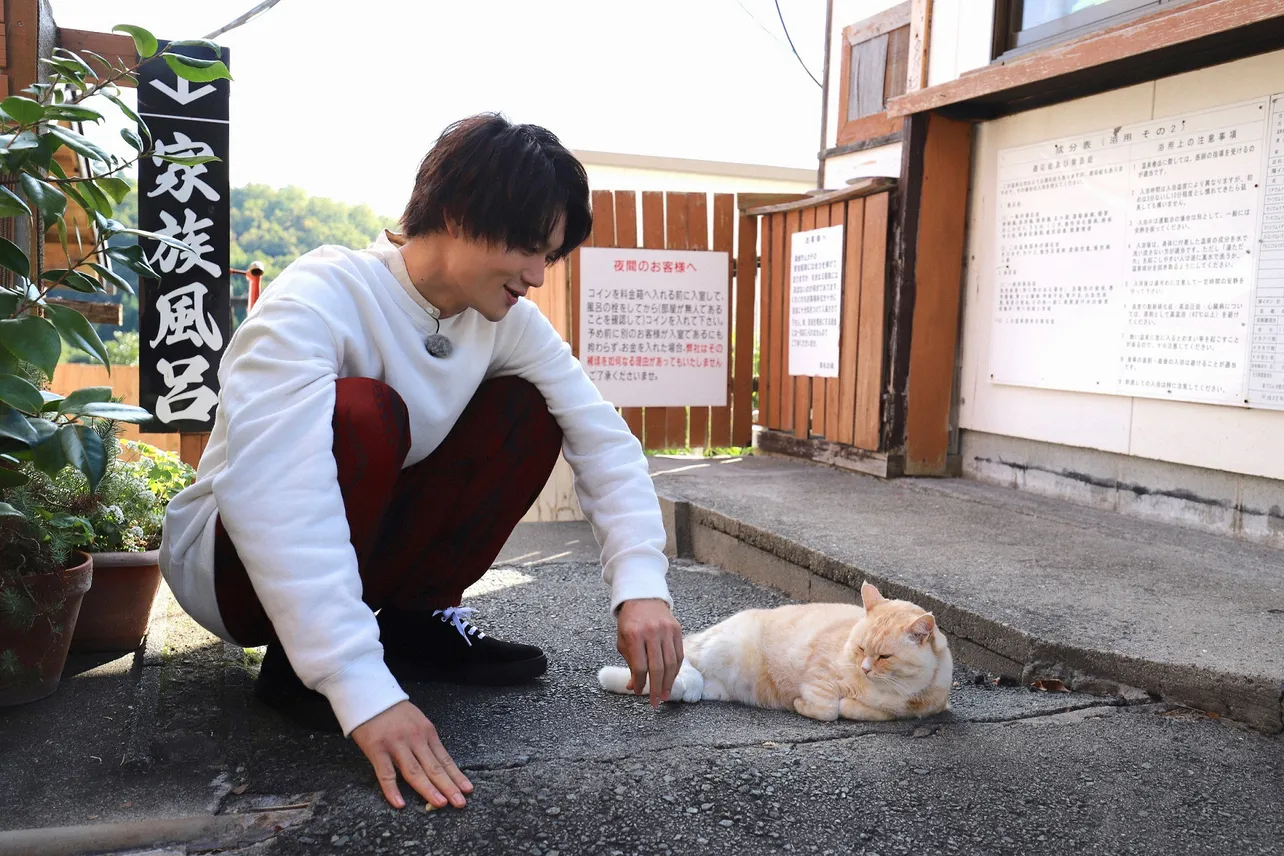 【写真を見る】まったく動かないネコに佐野勇斗も驚きの表情！