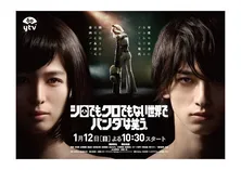 清野菜名・横浜流星W主演作のメインビジュアル公開！“ミスパンダ”の全身が解禁