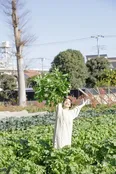 冬野菜も収穫！