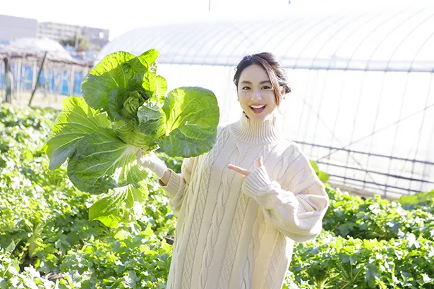 【写真を見る】どデカい白菜も収穫