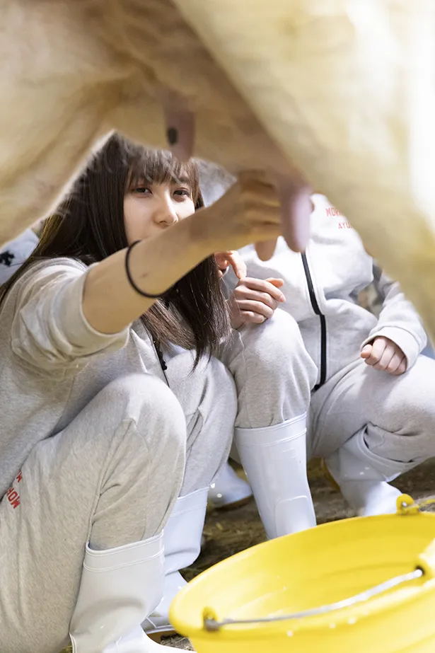 【写真を見る】乳搾りに挑戦の佐藤優樹、ほかメンバーのチャレンジ写真が満載！