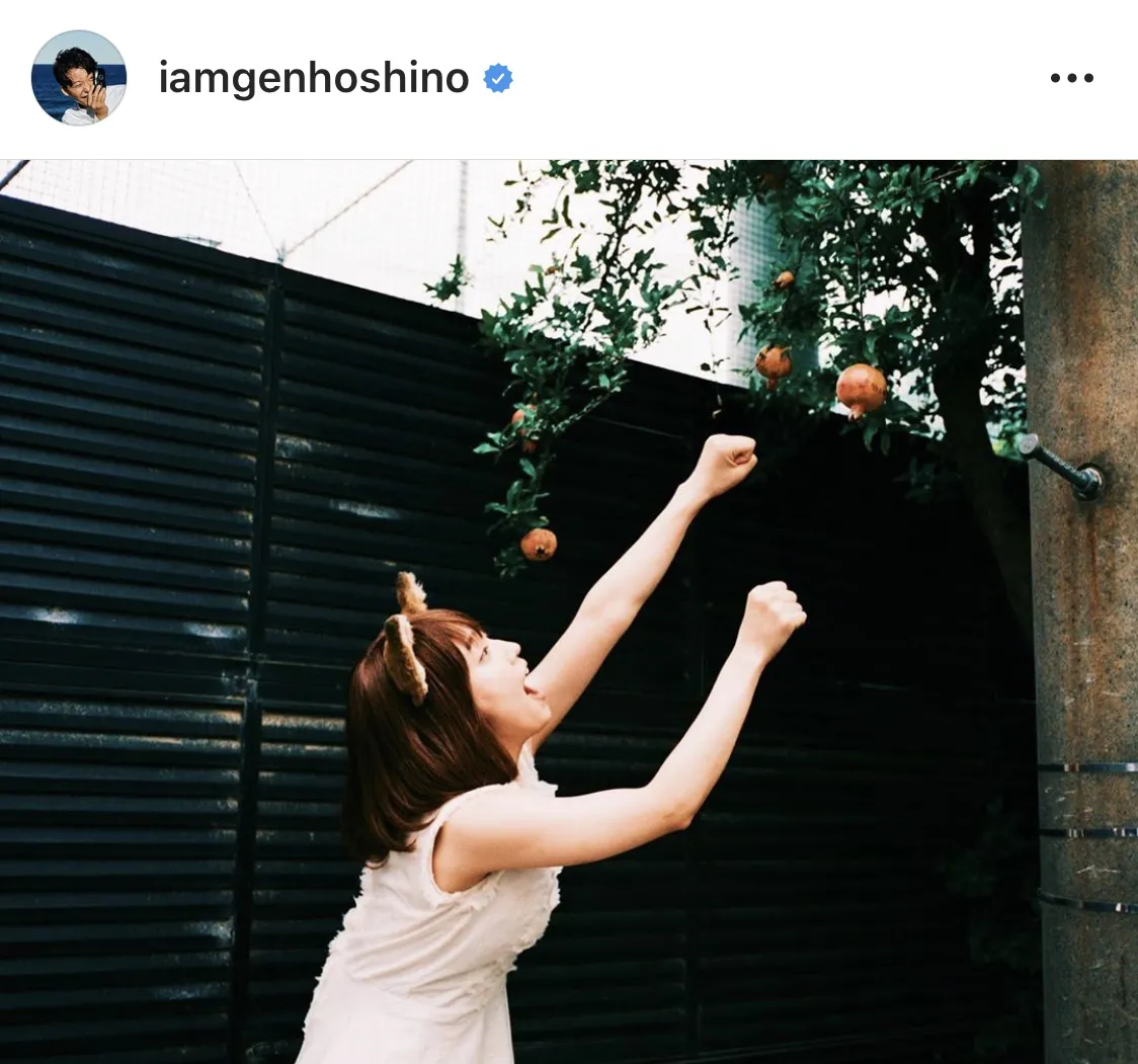 ※画像は星野源(iamgenhoshino)公式Instagramのスクリーンショット