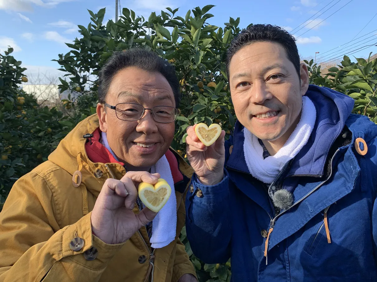 梅沢富美男と東野幸治が広島県尾道市でレモンを満喫