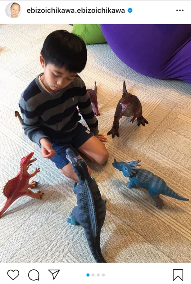 【写真を見る】ママからもらった恐竜のおもちゃで遊ぶ市川海老蔵の息子・ 勸玄くん(ほか、海老蔵を応援する勸玄くんなど)