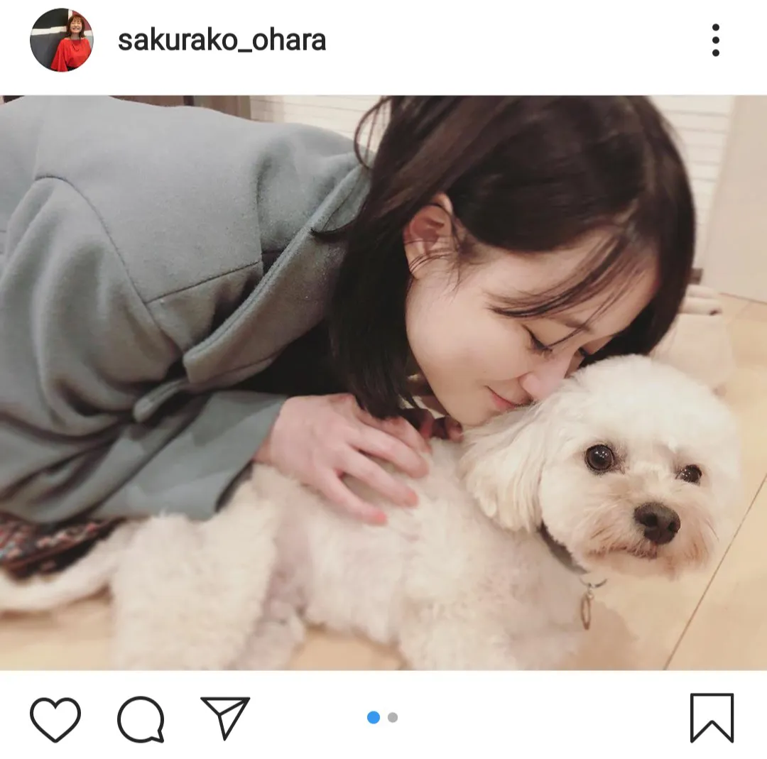 ※画像は大原櫻子(sakurako_ohara)公式Instagramより