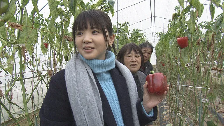 いきものがかりの吉岡聖恵