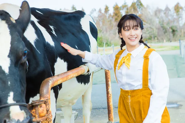 平祐奈が人生初の乳搾り体験 少しビビッてしまいました 笑 画像3 8 芸能ニュースならザテレビジョン