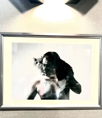 「SUITS/スーツ2」前シーズン復習クイズで、小手伸也&猫の衝撃SHOT公開!