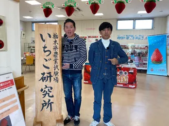 ガレッジセールが栃木の旬の食材を堪能！幻のいちご「とちひめ」に大興奮