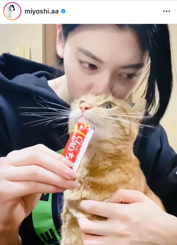 三吉彩花 猫との2shot動画にファン歓喜 かわいい かわいいでどっち見たらいいのか 1 3 芸能ニュースならザテレビジョン