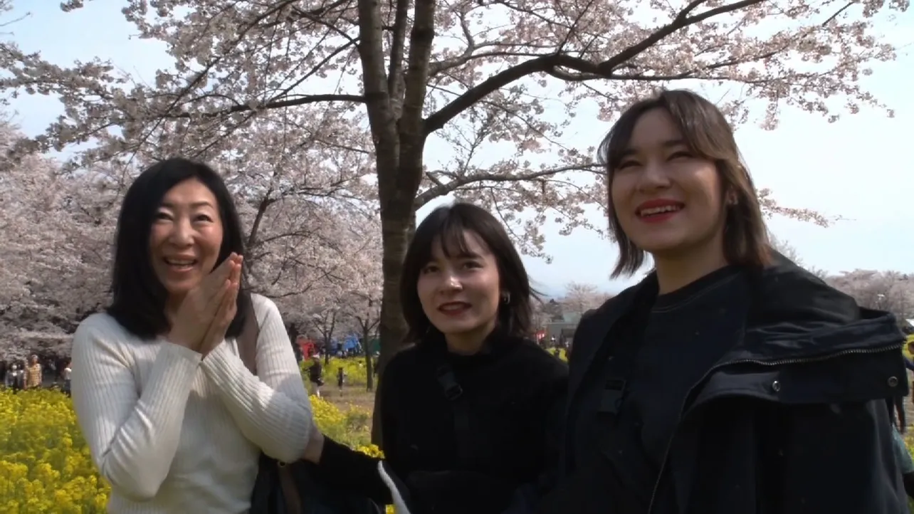 【写真を見る】お花見で出会った人の“人生ドラマ”に迫る