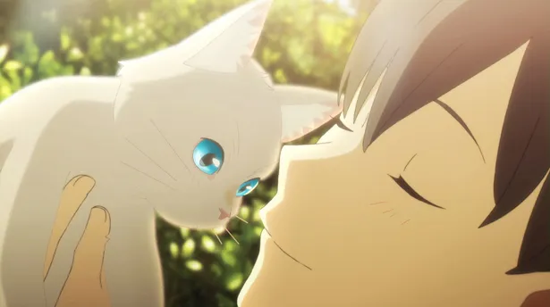 ヨルシカの最新曲「夜行」が、長編アニメーション映画「泣きたい私は猫をかぶる」の挿入歌に決まった