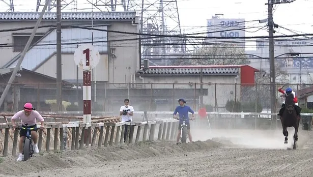 炎 の 体育 会 tv 自転車