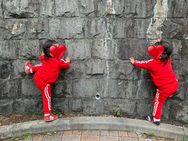 「ただただ岩壁を登りたがる」“双子のフタサック”