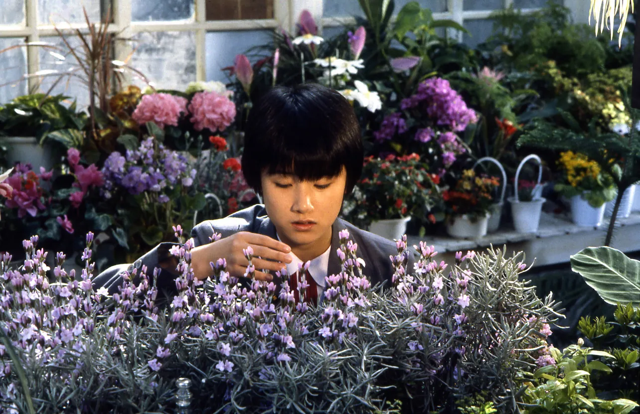 【写真を見る】初々しさあふれる10代の原田知世『時をかける少女(1983)』