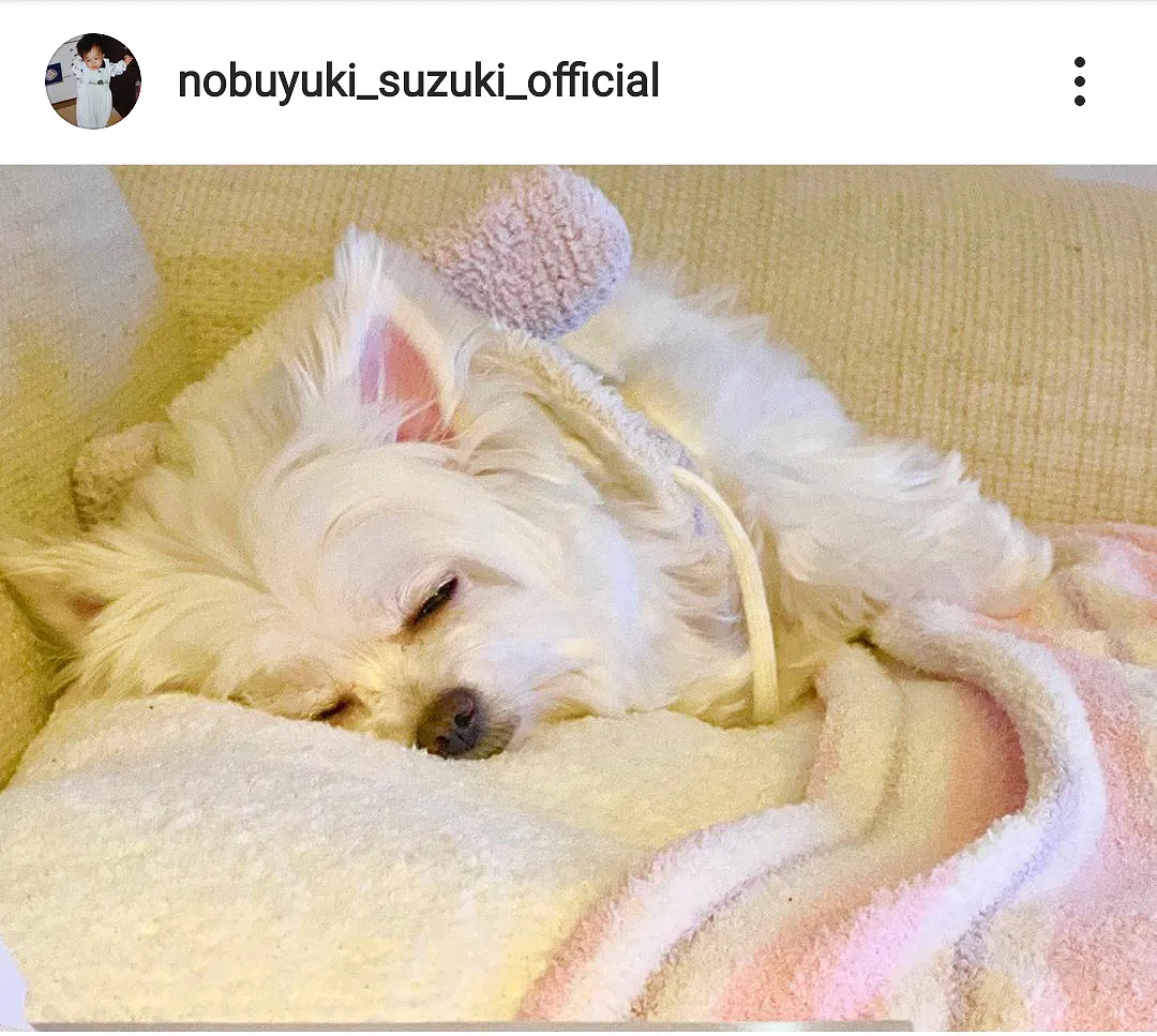 ※画像は鈴木伸之(nobuyuki_suzuki_official)公式Instagramのスクリーンショット