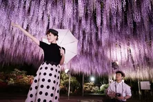 綾瀬はるかと坂口健太郎が共演「今夜、ロマンス劇場で」地上波初放送