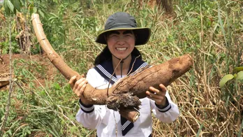 ＜イッテQ！＞イモトアヤコ、118カ国目アフリカ・コートジボワールへ