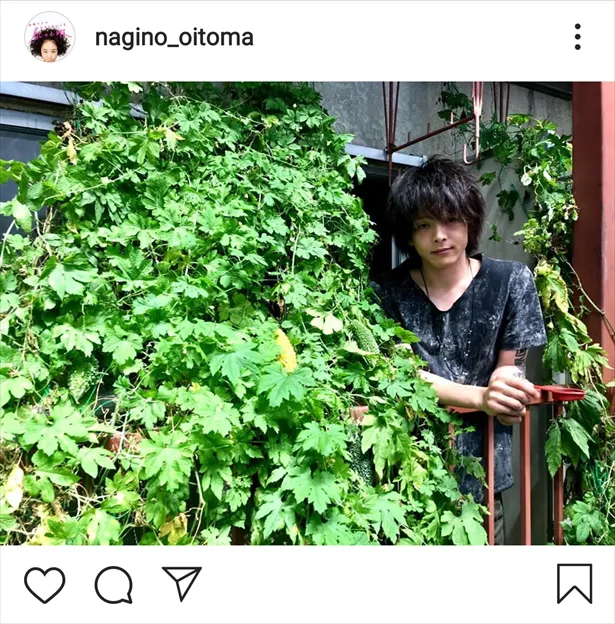 ※「凪のお暇」番組公式Instagram(nagino_oitoma)より
