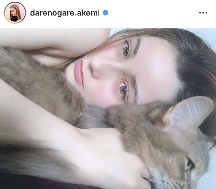 ※ダレノガレ明美公式Instagram(darenogare.akemi)のスクリーンショット