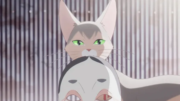 長編アニメーション映画「泣きたい私は猫をかぶる」の特別映像と、豪華声優演じる“猫住人”たちの場面写真が公開された