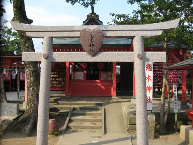 【写真を見る】日本で唯一、恋愛の神様を祭り別名「バレンタイン神社」とも呼ばれる恋木神社(福岡)