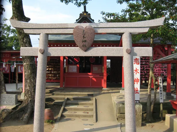 画像 All At Once 恋愛の神様を祭る バレンタイン神社 恋木神社とコラボ 大切な人への思いを奉納 2 3 Webザテレビジョン