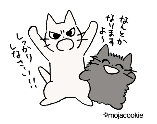 しかるねこの作者・もじゃクッキーが、応援隊長就任についてコメントを寄せた