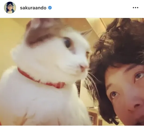 【写真を見る】安藤サクラのセリフに合わせて、猫が振り向いて返事も!?