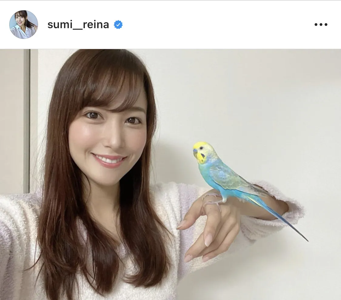 ※画像は鷲見玲奈オフィシャルInstagram(sumi__reina)のスクリーンショット