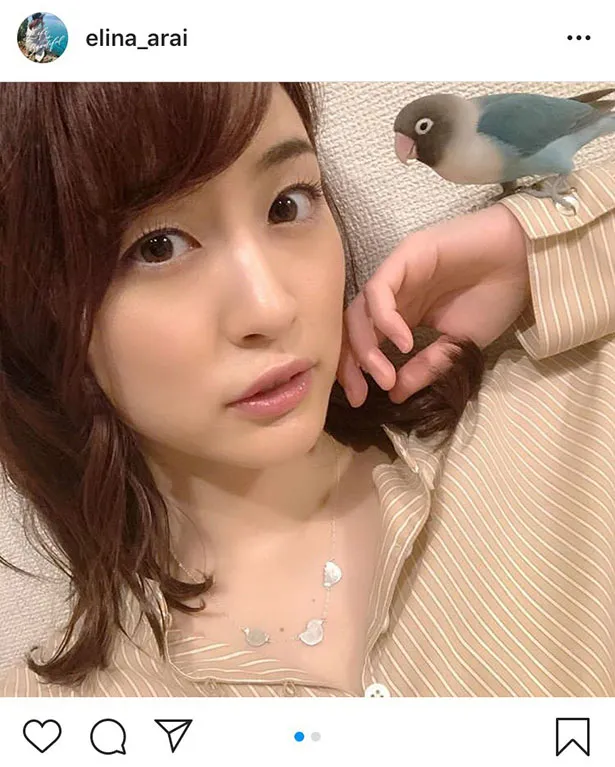 ※新井恵理那オフィシャルInstagram(elina_arai)のスクリーンショット