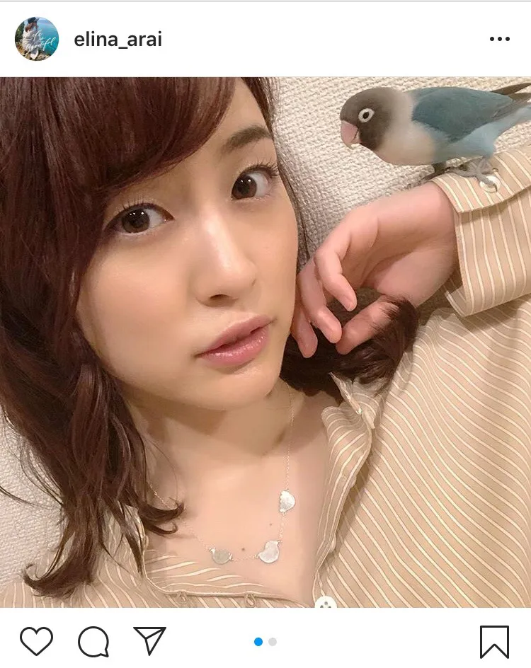 ※新井恵理那オフィシャルInstagram(elina_arai)のスクリーンショット