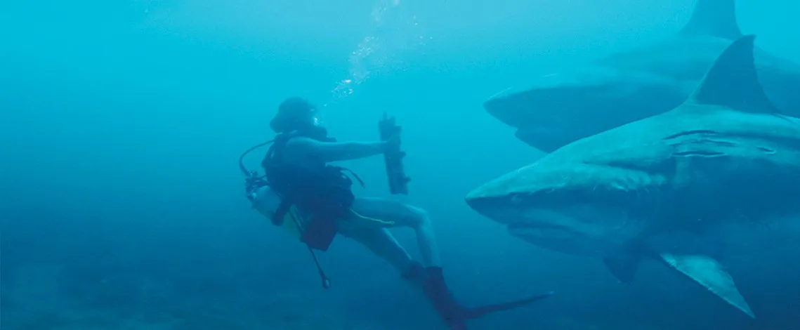 【写真を見る】逃げ場のない海上で、知能を持ったサメが襲い掛かる…