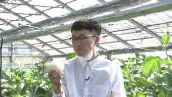 希少品種「白なす」を使ったレシピを馬場裕之が披露