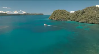 奇跡の映像連発!絶滅危惧種・ジュゴンの姿に国分太一も大興奮!<世界くらべてみたら>