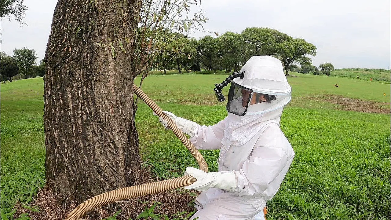 【写真を見る】防護服姿でハチが現れるのを待つ高嶋ちさ子
