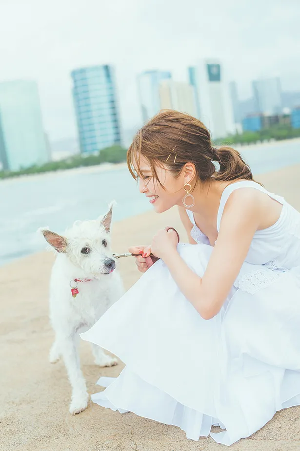 【写真を見る】緊張気味のワンちゃんを優しく見つめる宇野実彩子