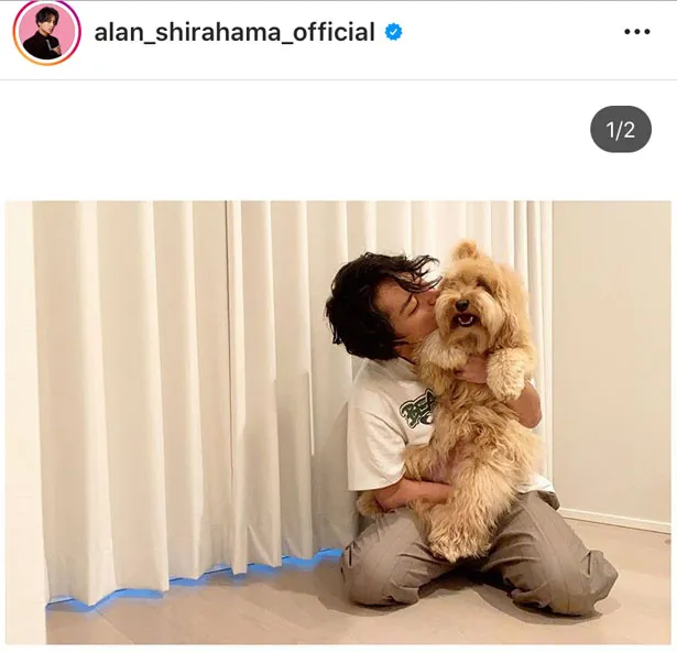 ※白濱亜嵐公式Instagram(alan_shirahama_official)より