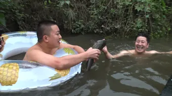 チョコレートプラネット「イッテQ」初登場！ 群馬で珍獣ハントに挑む