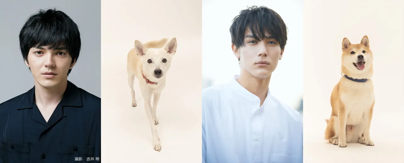 林遣都と中川大志が“犬バカ”に！　映画「犬部！」が2021年公開