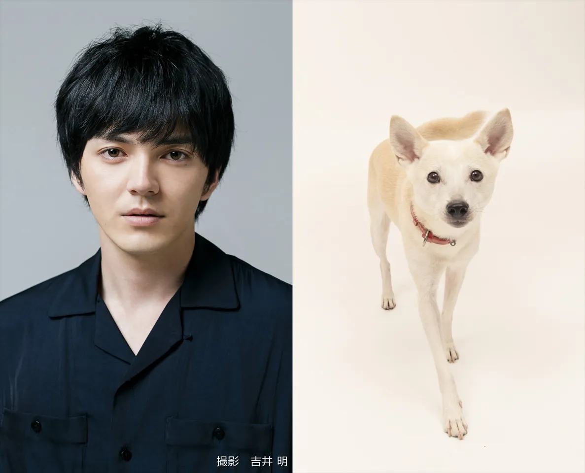 【写真を見る】林遣都＆中川大志、映画「犬部！」のかわいいバディ犬たちの写真も！