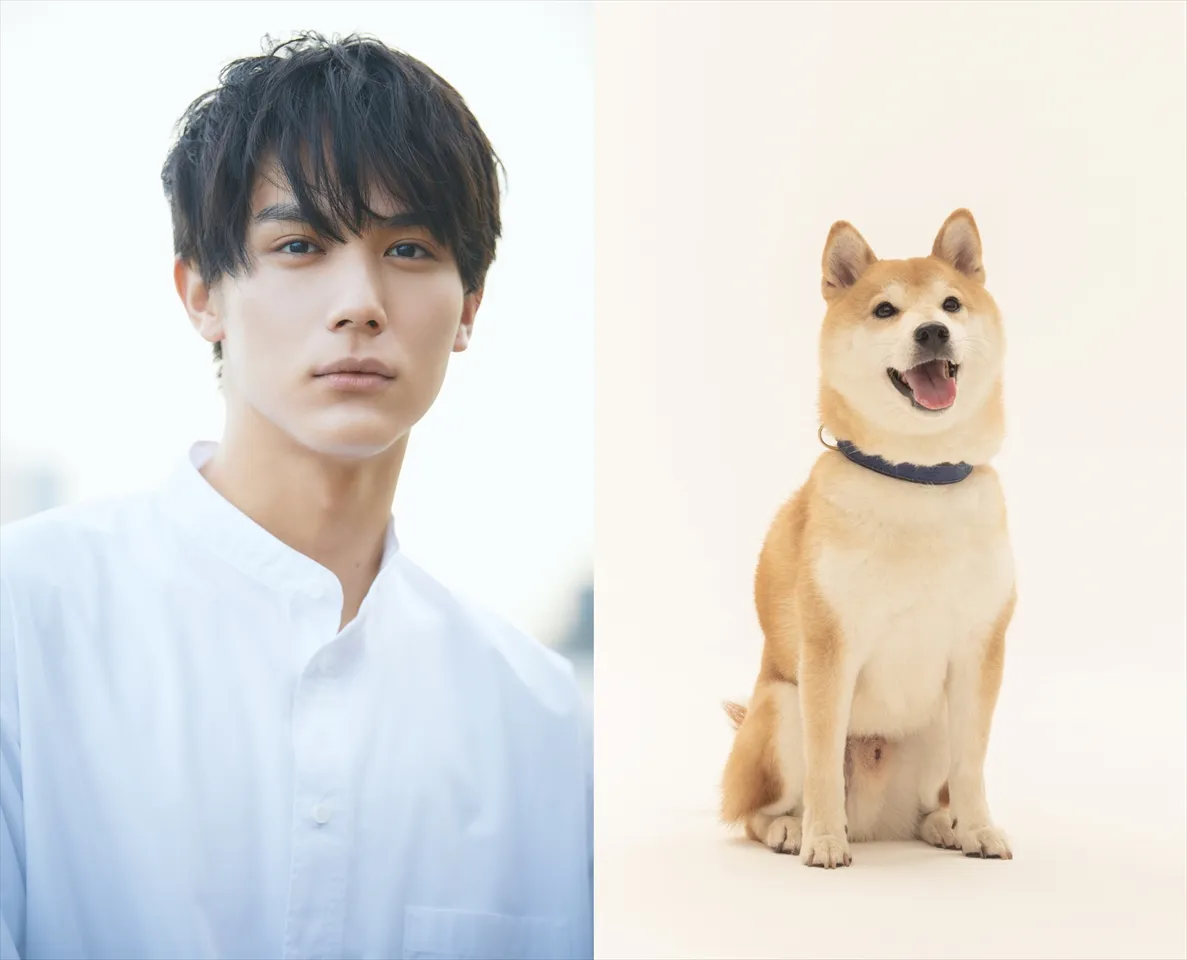 中川大志とそのバディ犬・太郎役のきぃ