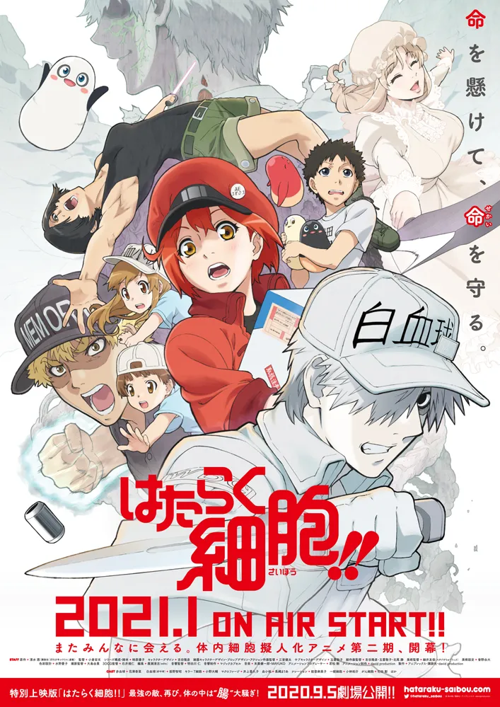 テレビアニメ第2期「はたらく細胞!!」は2021年1月より放送開始！