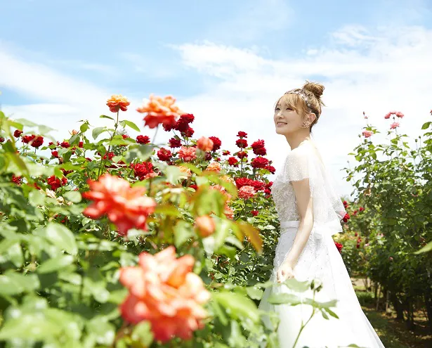 【写真を見る】青空のもとでバラに囲まれた、ドレス姿の生駒里奈がまぶしすぎる！